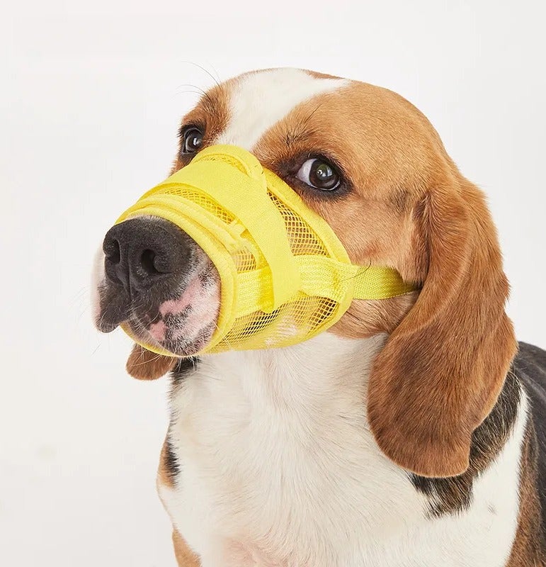 كمامة شبكية للكلاب (قطعتان) - كمامة آمنة تسمح بمرور الهواء لنزهة آمنة | أحزمة قابلة للتعديل وغطاء شبكي ناعم | تمنع العض والمضغ واللعق | تصميم مريح وأنيق (مقاس كبير) - Image 1